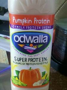 Odwalla Super Protein Pumpkin Drink