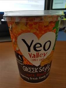 Yeo Valley Greek Style Yogurt with Honey