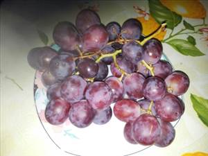 Europäische Weintraubensorte