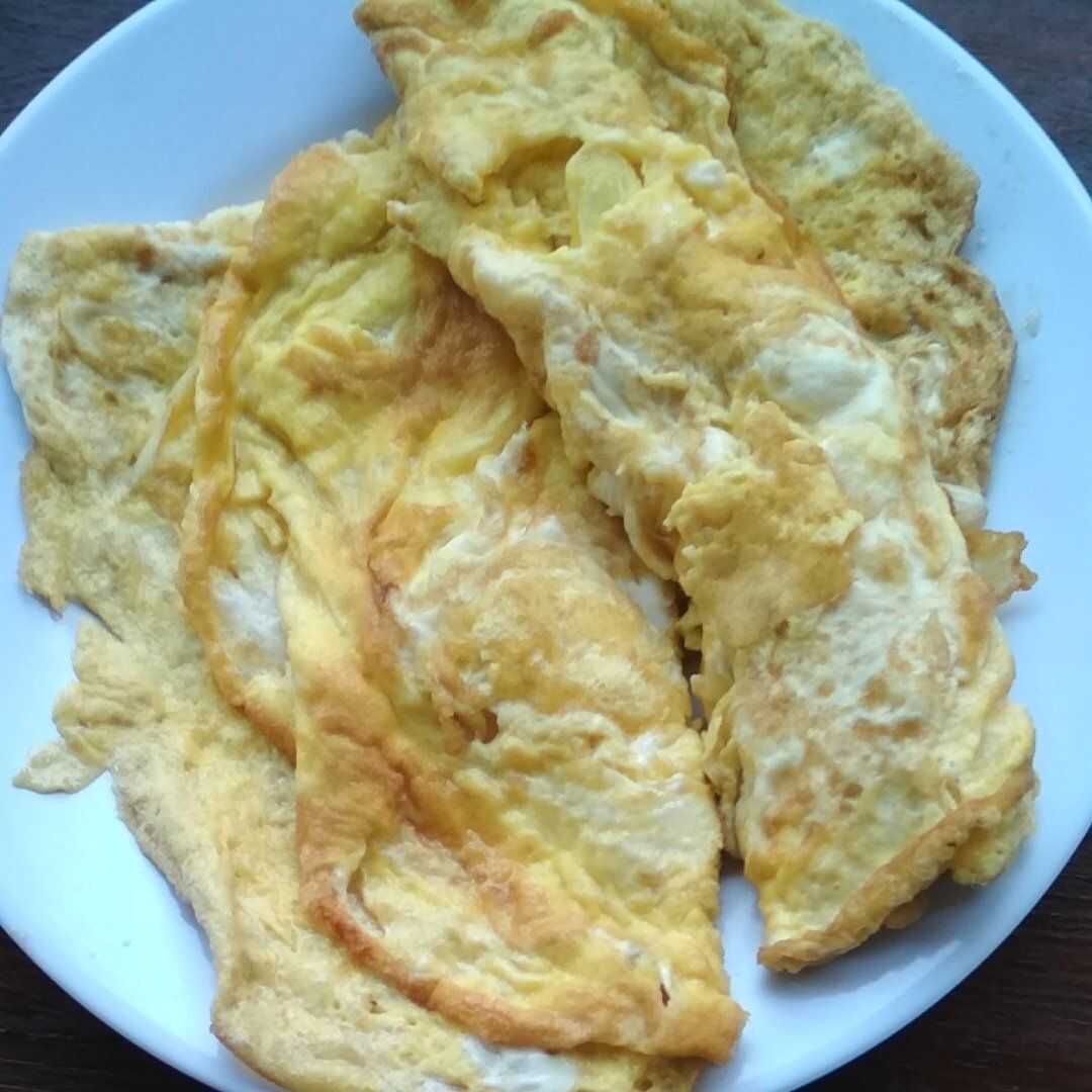 Egg Omelette