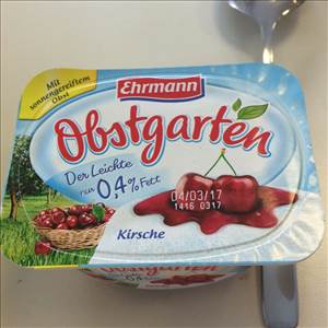 Ehrmann Obstgarten der Leichte Erdbeere 0,4% Fett