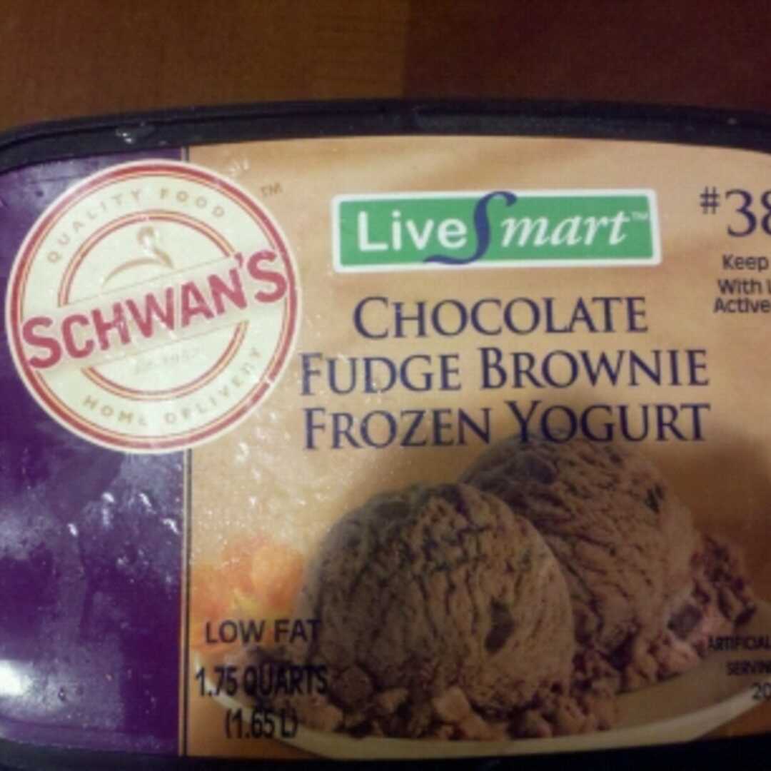 Schwan's Chocolate Fudge Brownie Frozen Yogurt