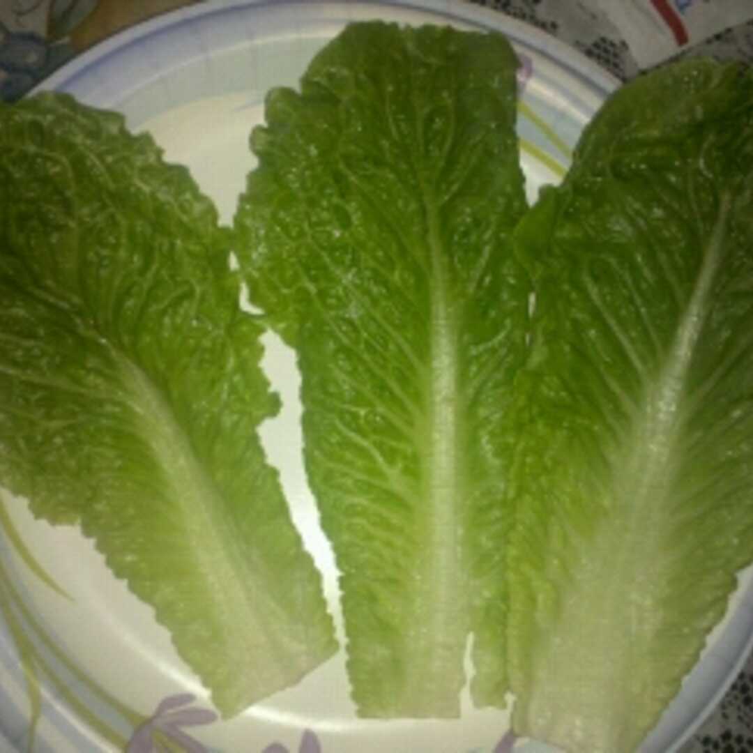 Cos or Romaine Lettuce