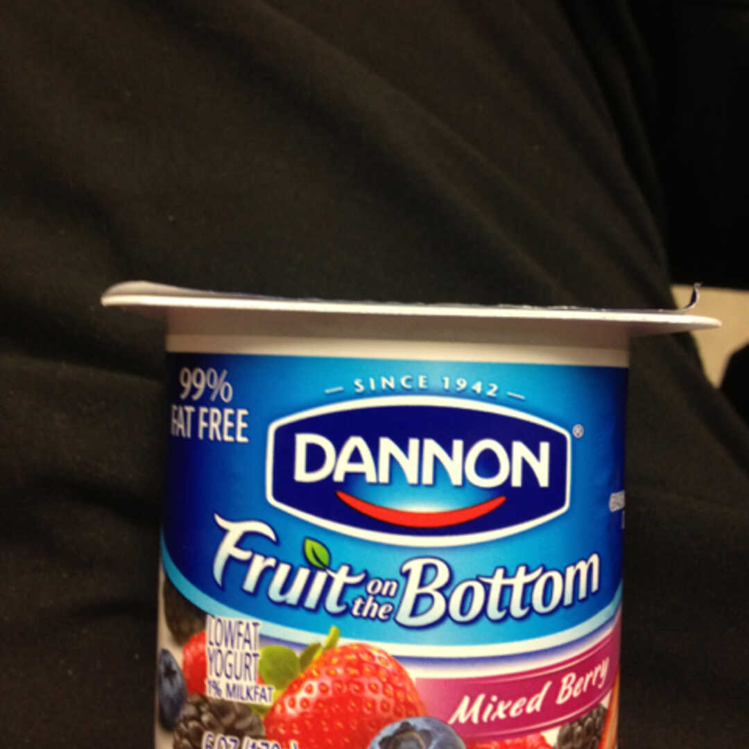 Dannon Fruit on The Bottom Yogurt - Mixed Berry