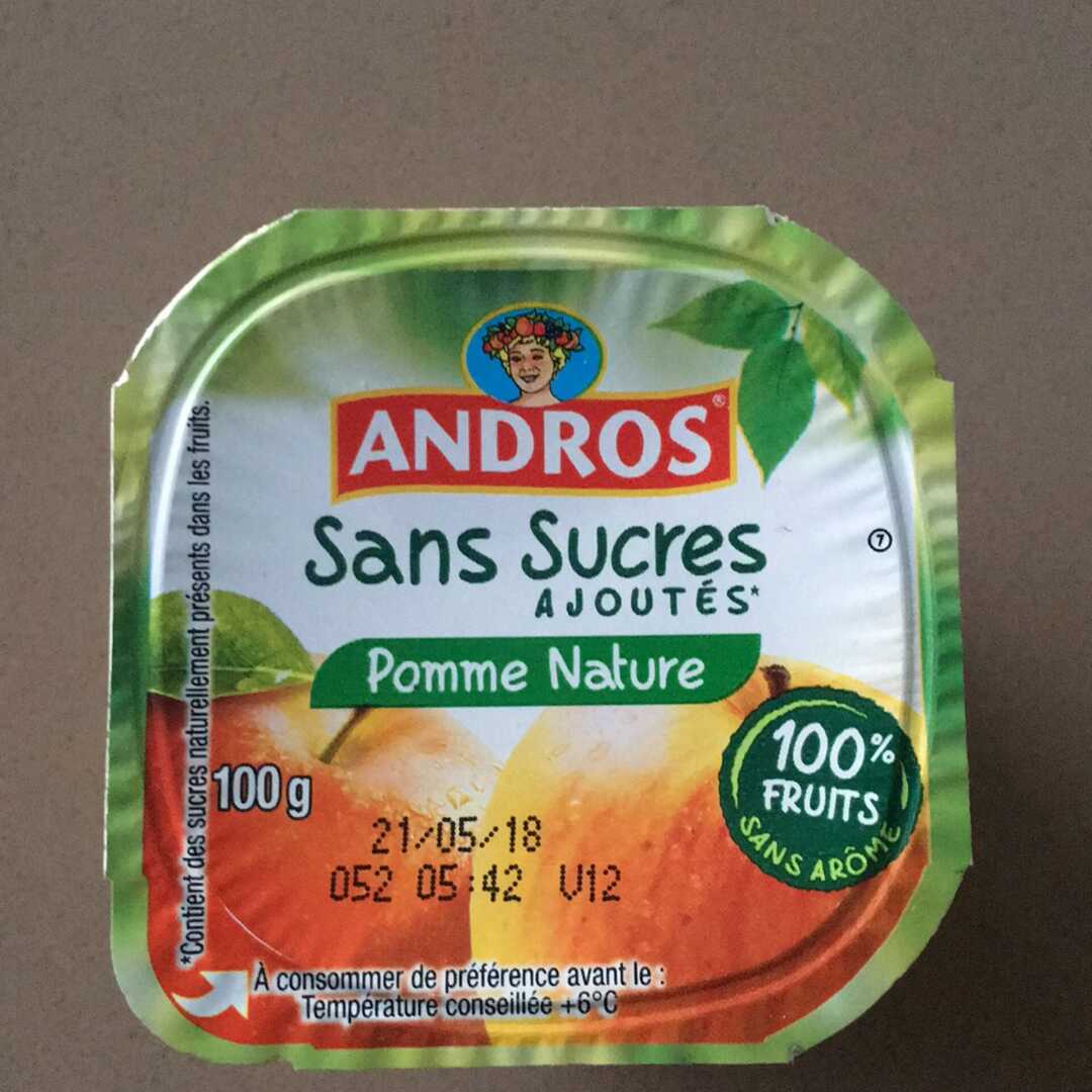 Andros Compote Pomme Nature sans Sucres Ajoutés