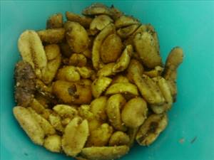 Dry Roasted Salted Peanuts
