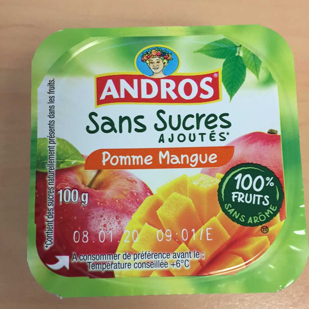 Andros Compote Pomme Mangue sans Sucres Ajoutés