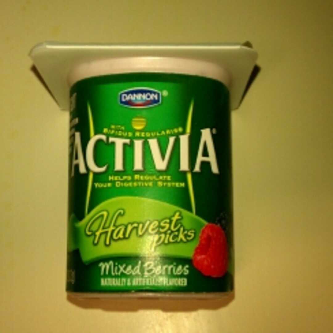 Dannon Activia Mixed Berry Yogurt