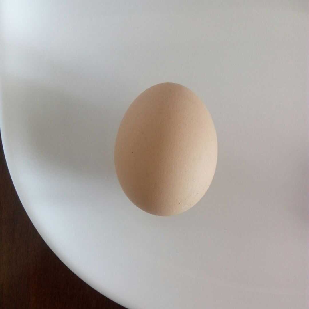 Çırpılmış Yumurta (Bütün, Pişirilmiş)