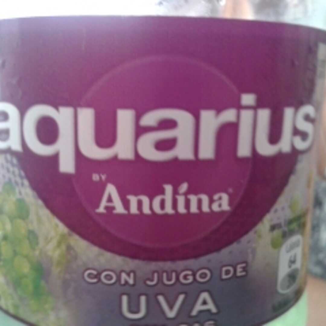 Andina Aquarius