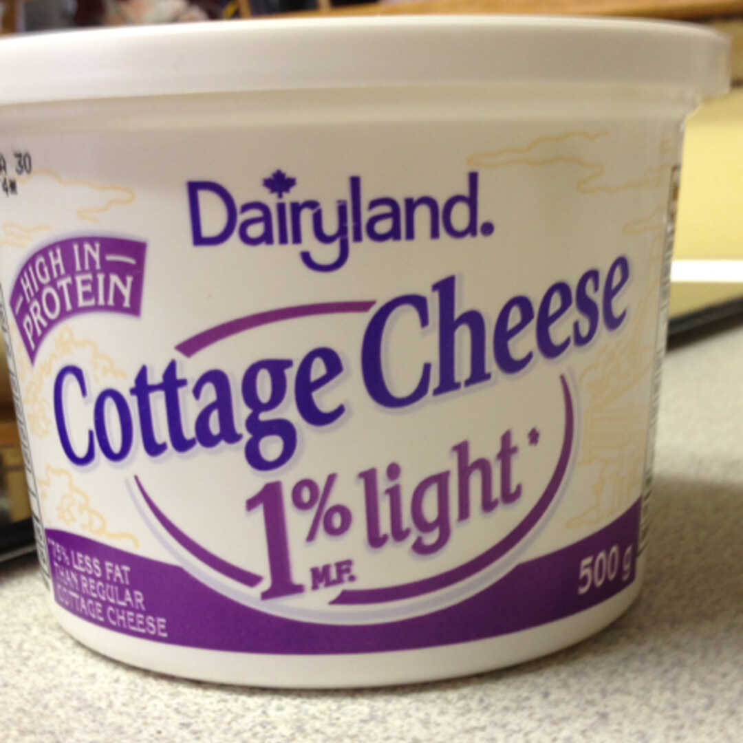 Cottage Cheese (Lowfat 1% Milkfat)