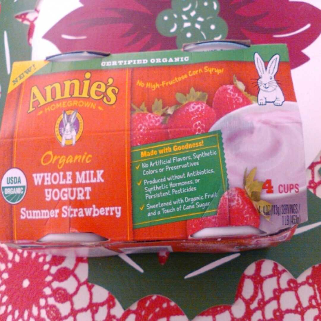 Annie's Homegrown Whole Milk Yogurt