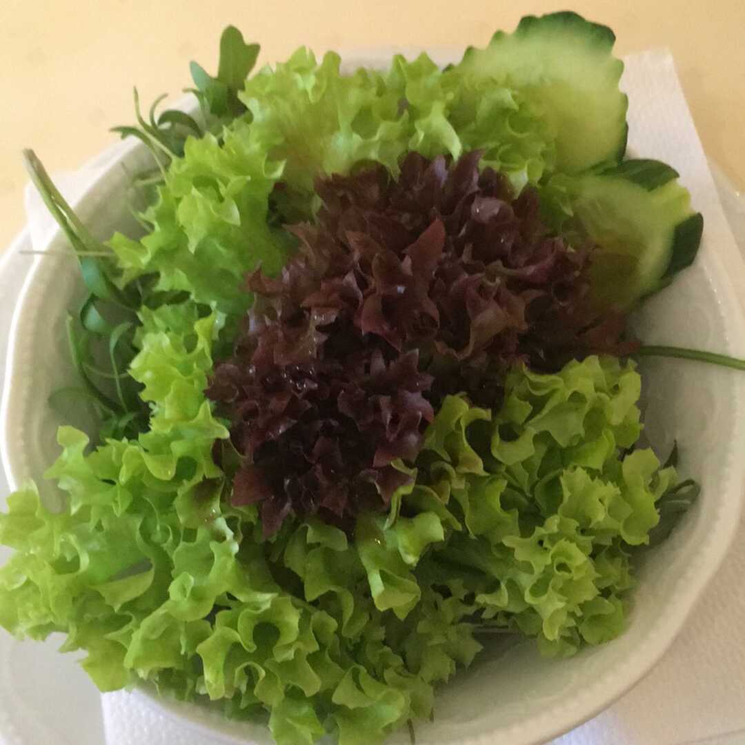 Grüner Blattsalat