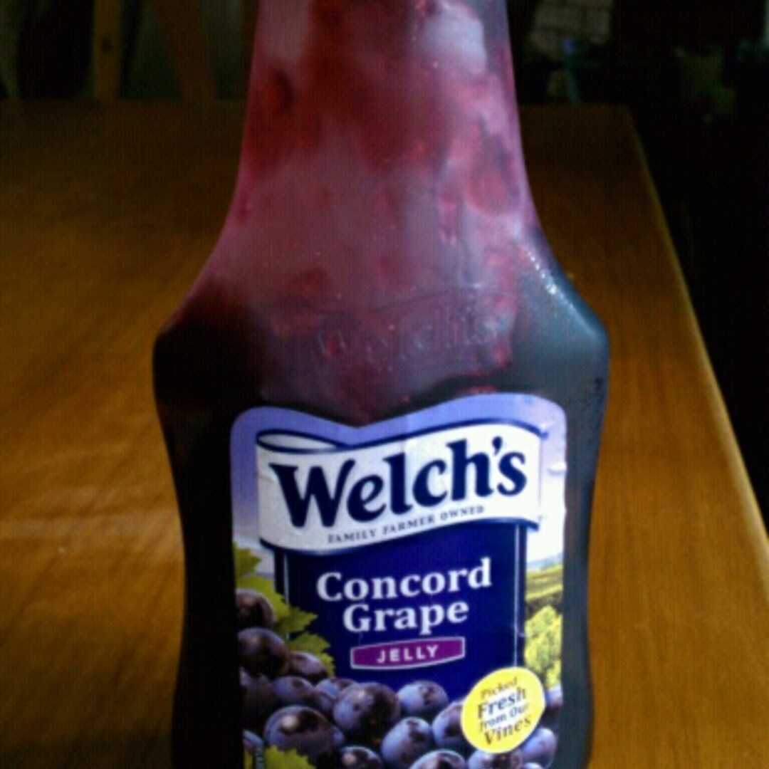 Welch's Squeezable Concord Grape Jam