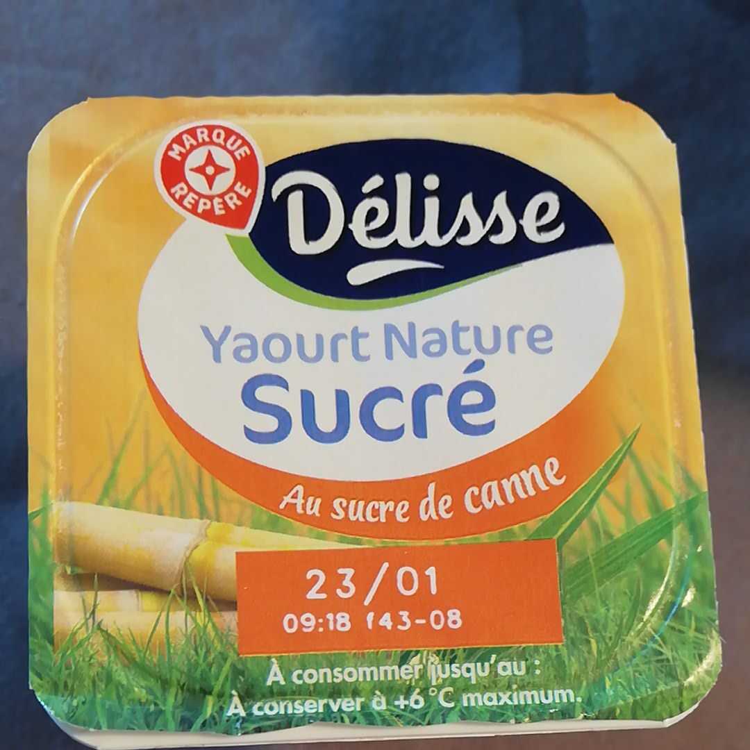 Yaourt nature - 4 x 125 g - DELISSE