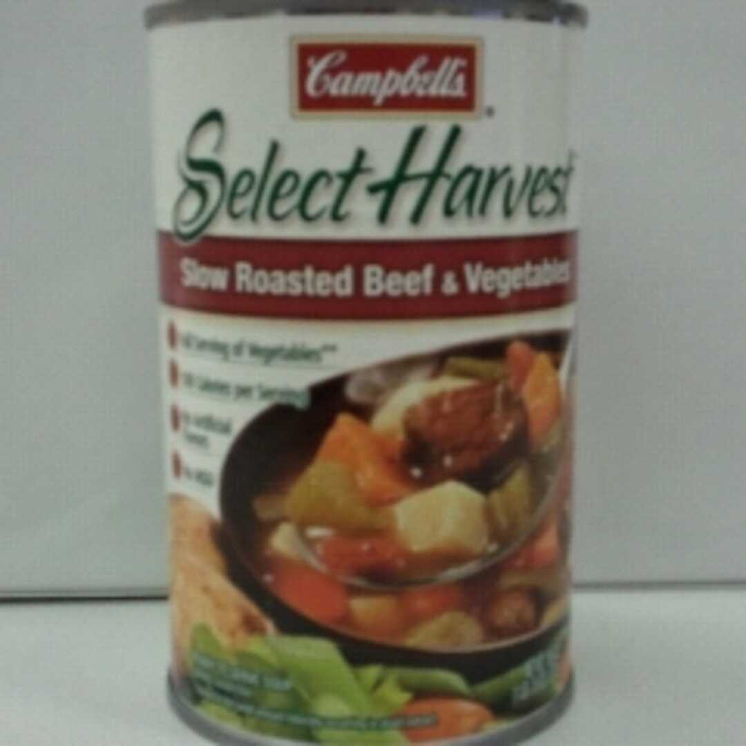 Campbell's Select Harvest Slow Roasted Beef & Vegetables Soup