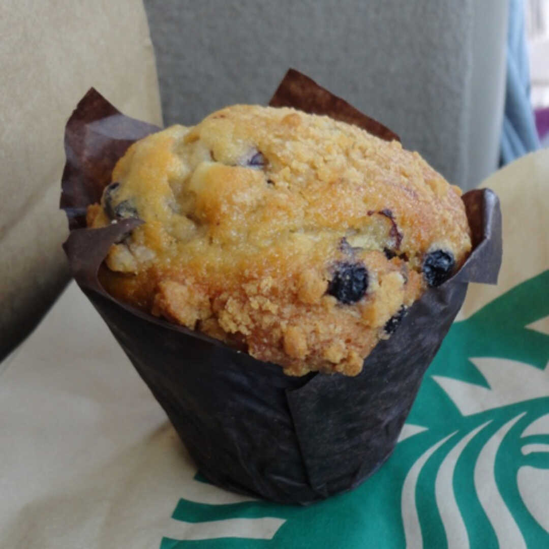 Starbucks Low Fat Blueberry Muffin