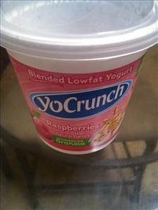 YoCrunch Raspberry Yogurt with 100% Natural Lowfat Granola