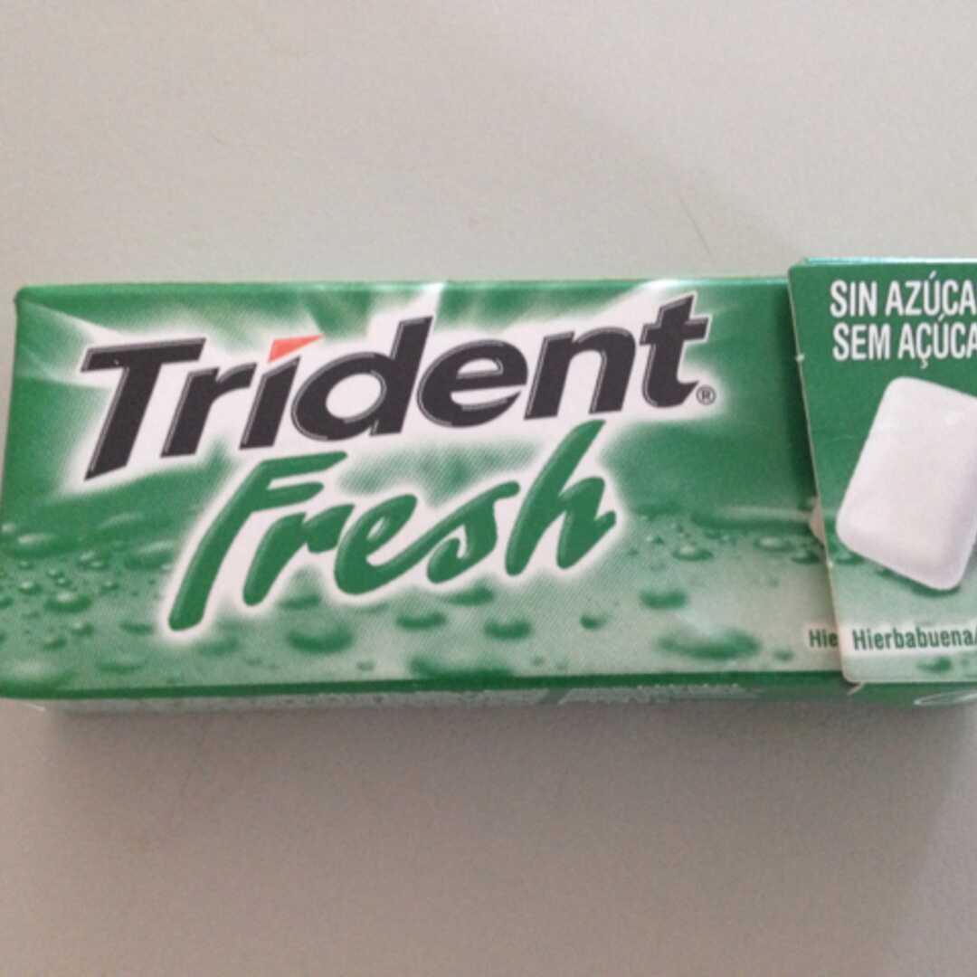 Trident Fresh