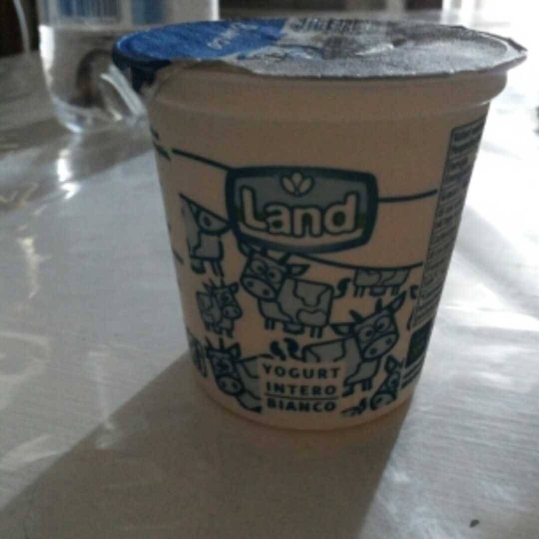 Land Yogurt Intero Bianco