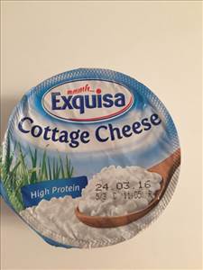 Exquisa Cottage Cheese