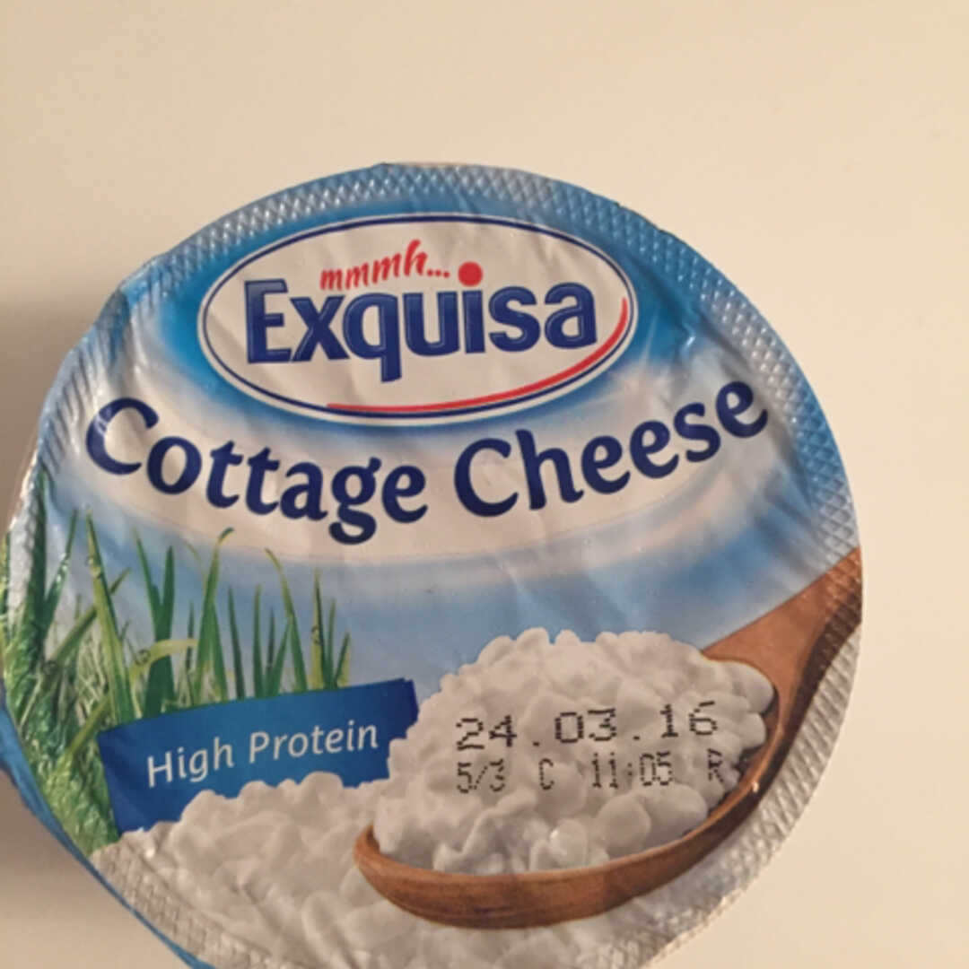 Exquisa Cottage Cheese