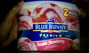 Blue Bunny Premium Double Strawberry Ice Cream
