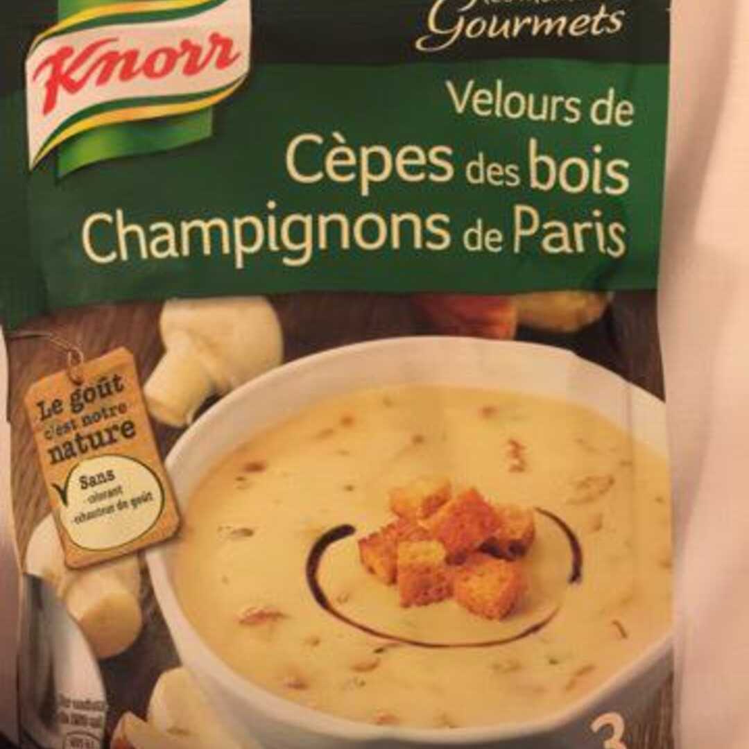 Knorr Velours de Cèpes des Bois Champignons de Paris