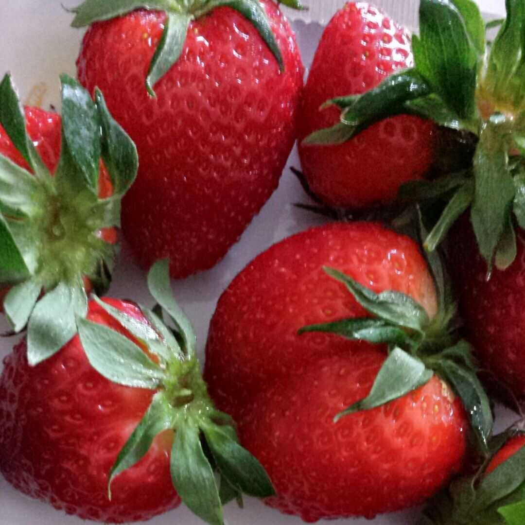 REWE Beste Wahl Erdbeeren