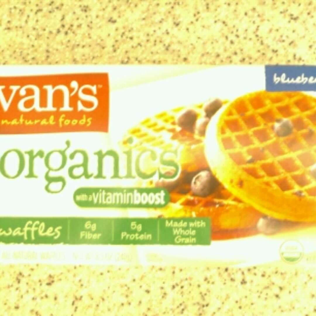 Van's Organic All Natural Blueberry Waffles