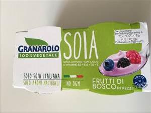 Granarolo Yogurt Soia Frutti di Bosco