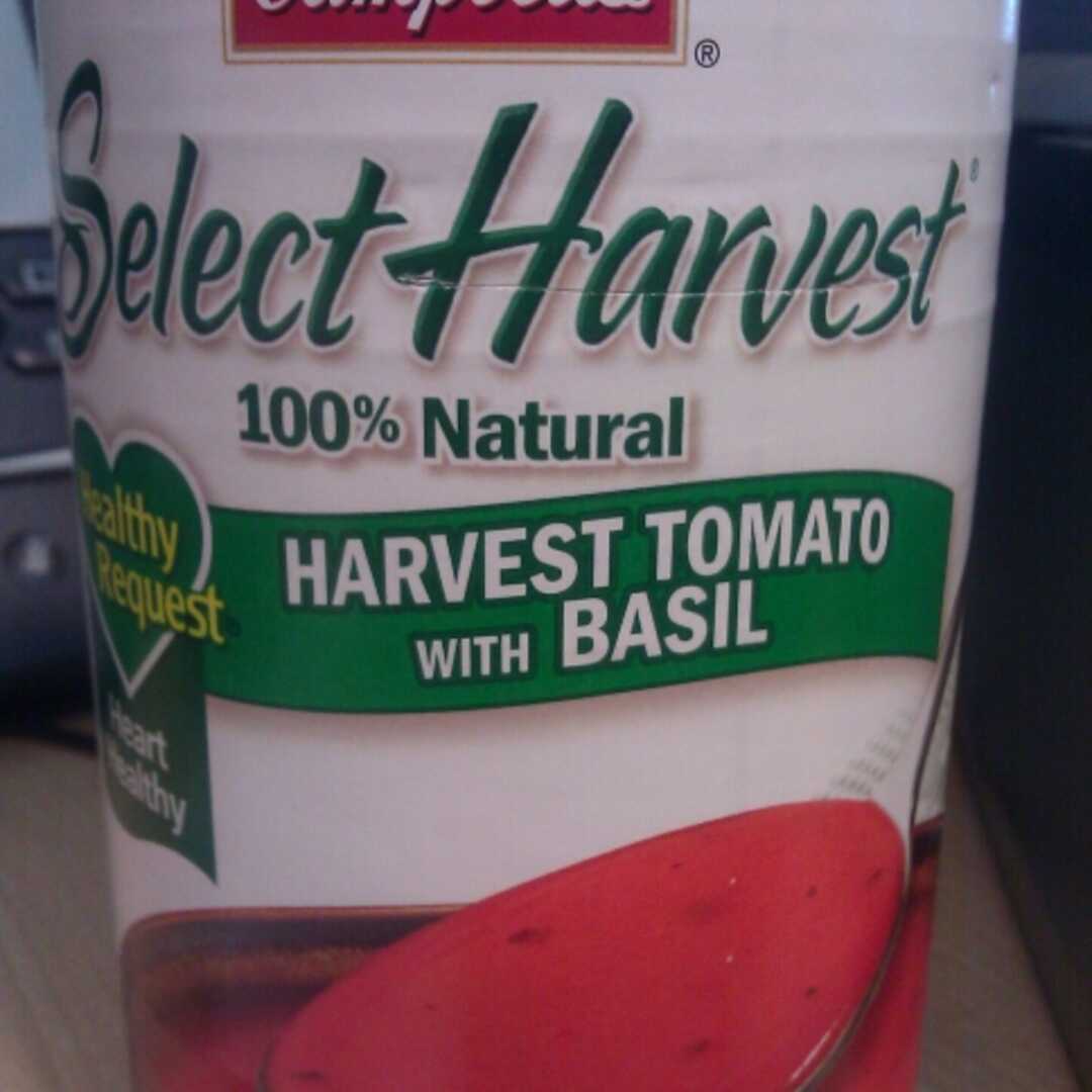 Campbell's Select Harvest Tomato Basil Soup