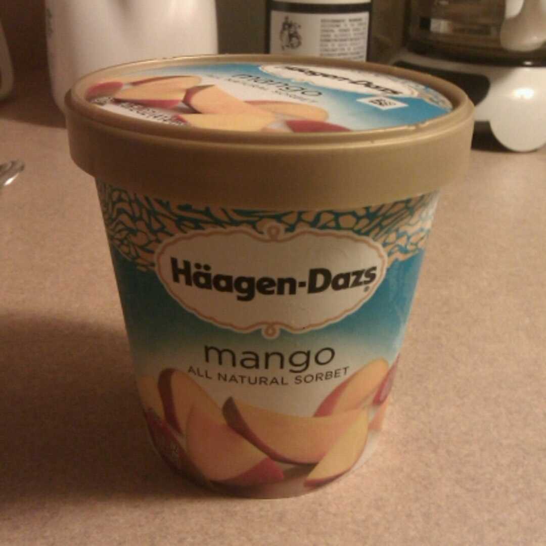 Haagen-Dazs Fat Free Mango Sorbet