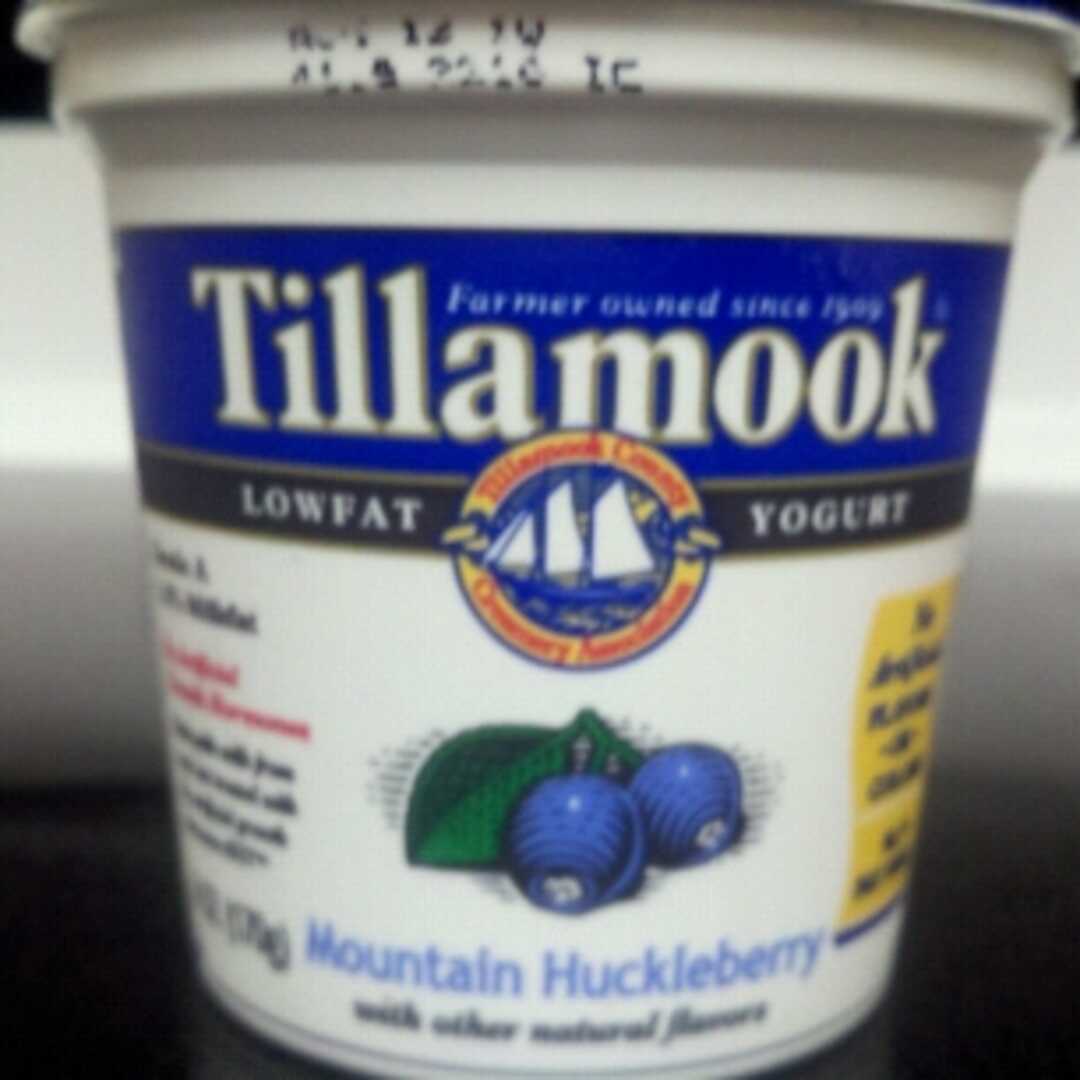 Tillamook Lowfat Mountain Huckleberry Yogurt