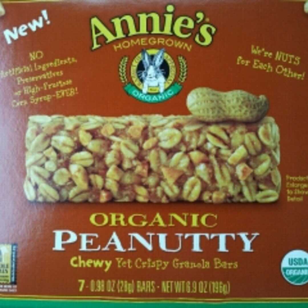 Annie's Homegrown Organic Chewy Yet Crispy Granola Bars - Peanutty