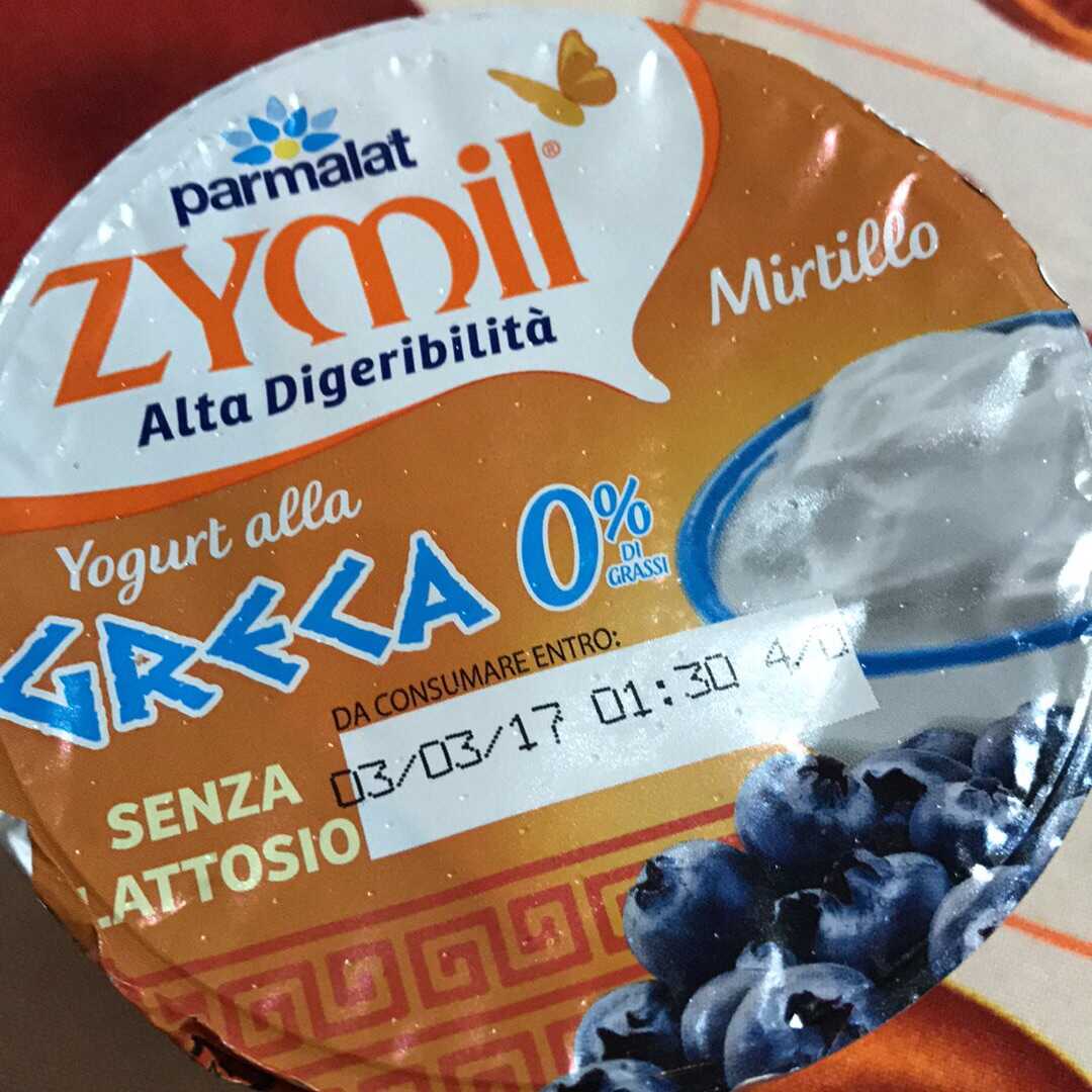 Zymil Yogurt alla Greca Mirtillo