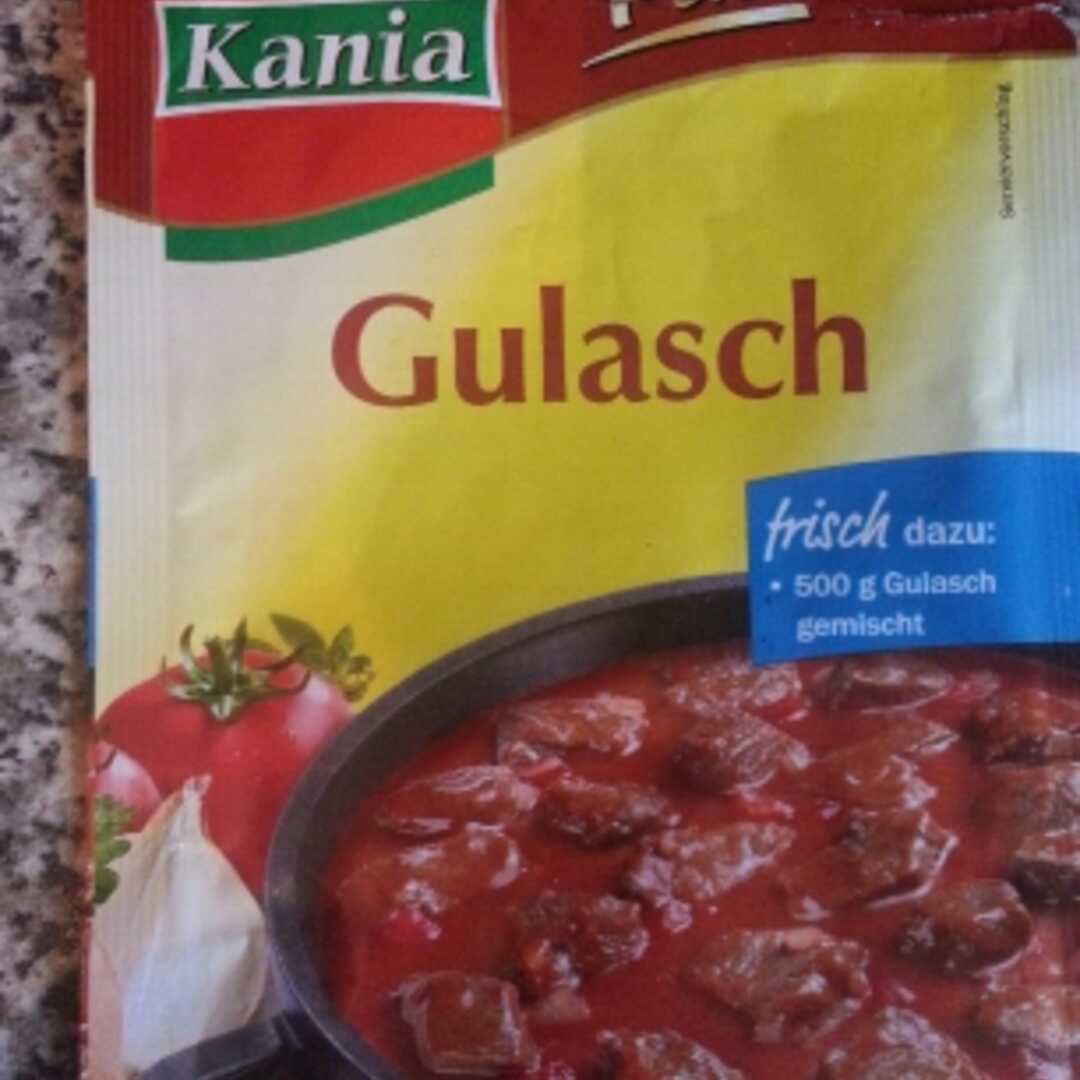 Kania Fix Gulasch