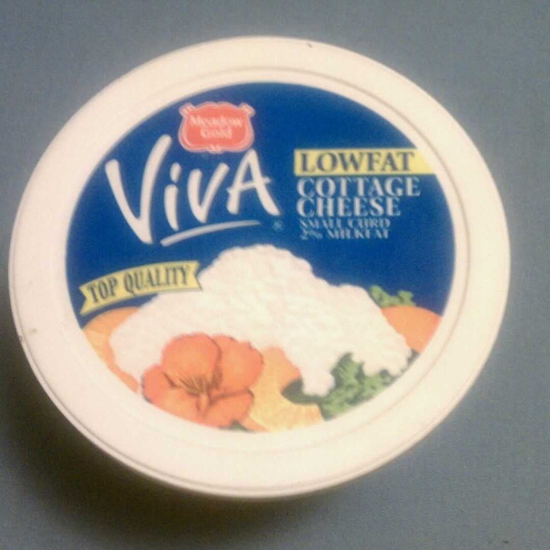 Meadow Gold Viva Lowfat Small Curd Cottage Cheese