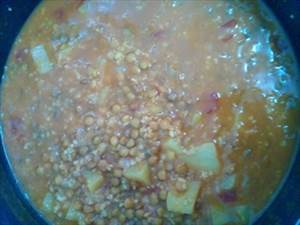 Cooked Lentils (Fat Not Added in Cooking)