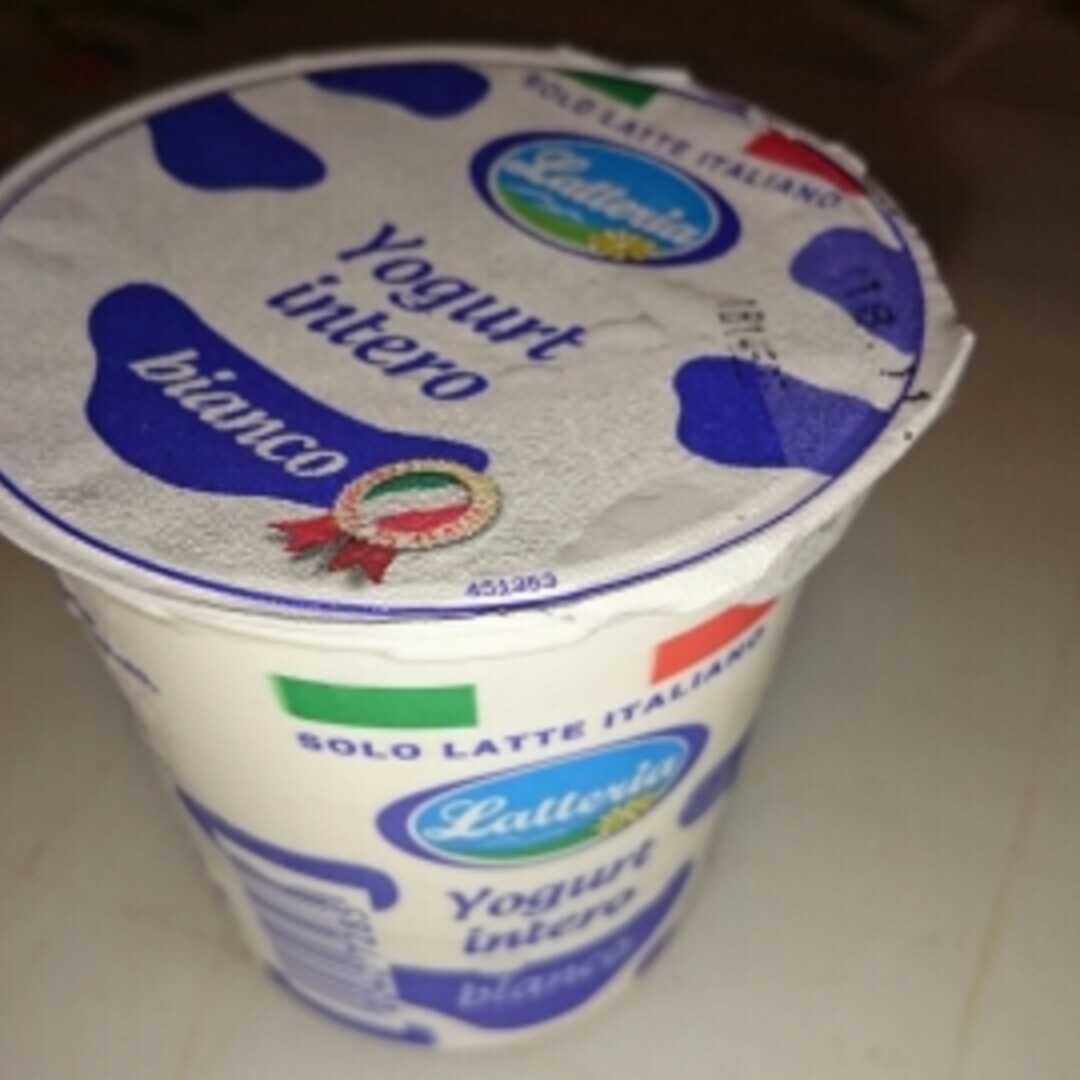 Latteria Yogurt Intero Bianco
