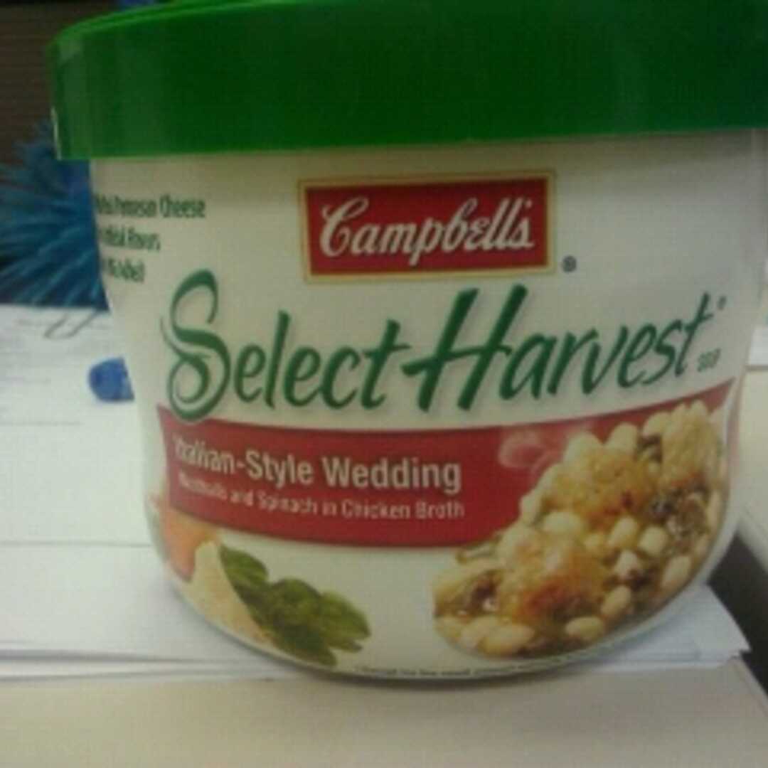 Campbell's Italian-Style Wedding Soup
