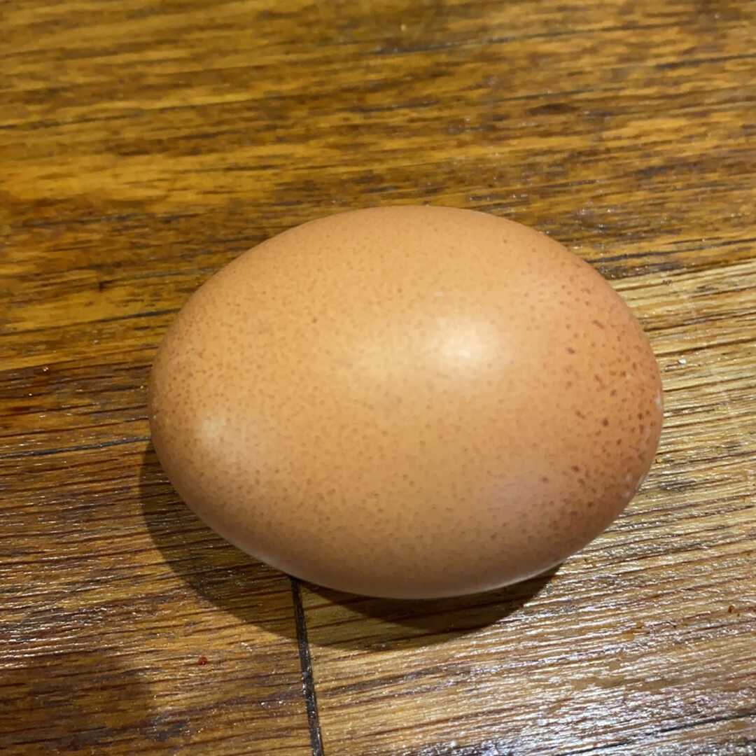 Egg (Whole)
