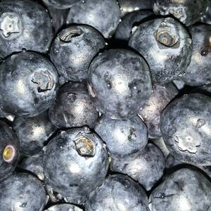 Blueberries