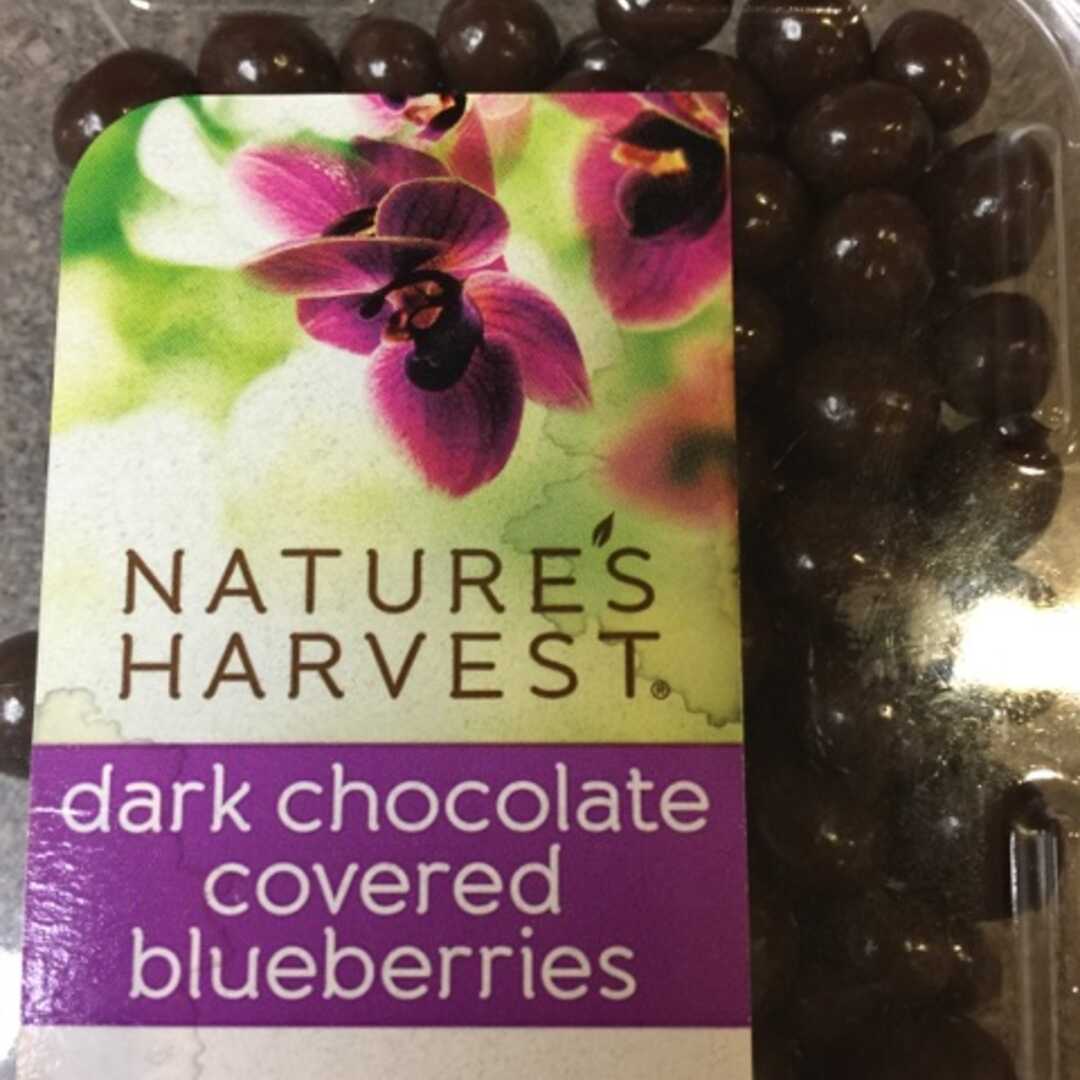 Nature's Harvest Dark Chocolate Almonds