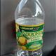 Adirondack Lemon Spring Water