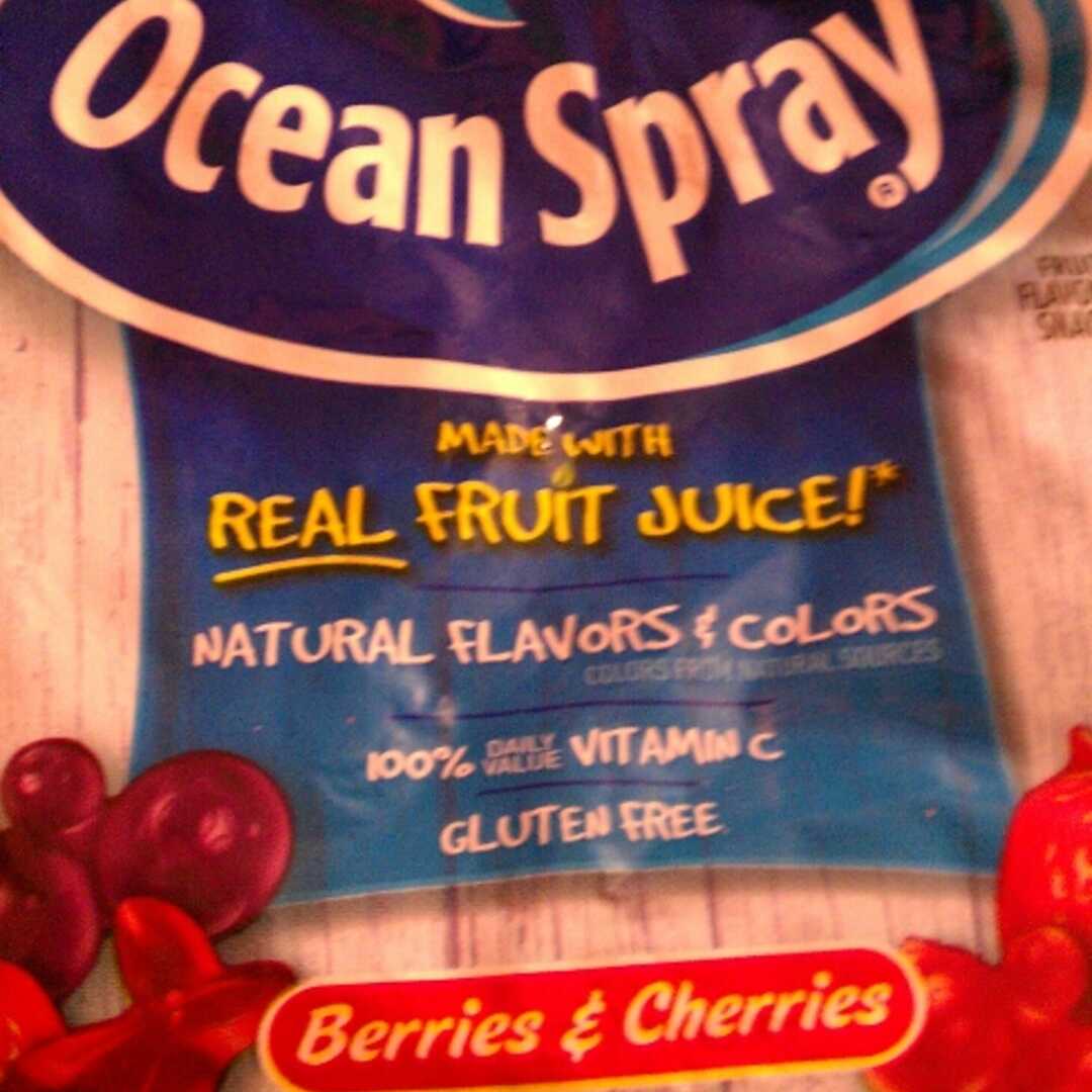 Ocean Spray Berries & Cherries Fruit Snacks