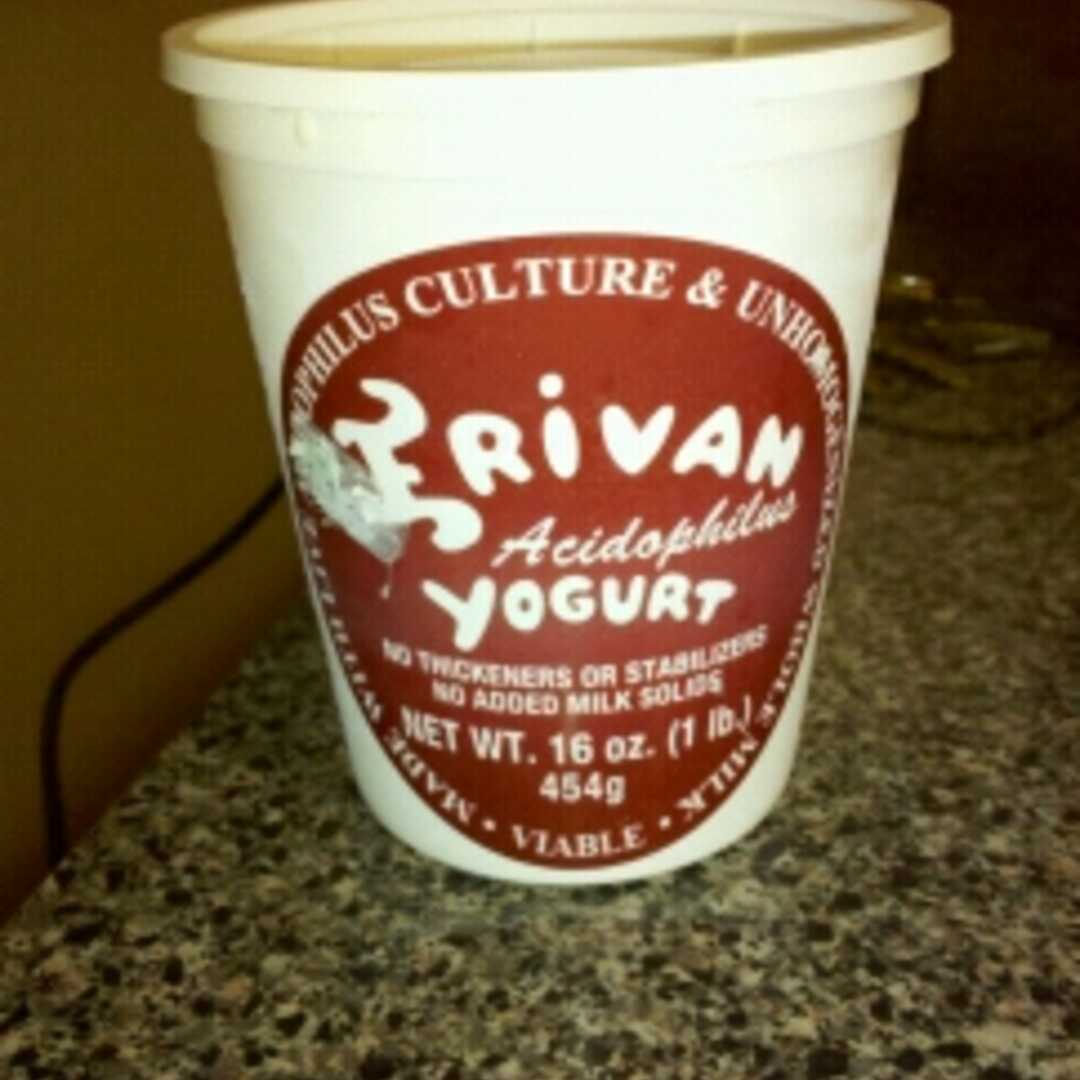 Erivan Dairy Acidophilus Yogurt
