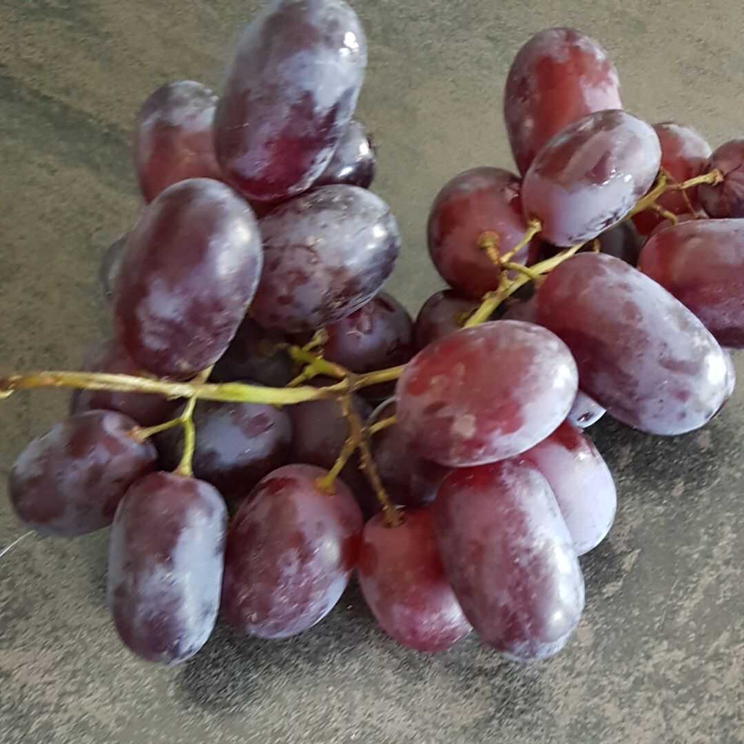 Weintrauben (Rot oder Grün, Europäische Sorten wie Thompson Kernlose)
