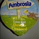 Ambrosia Low Fat Devon Custard (150g Pot)