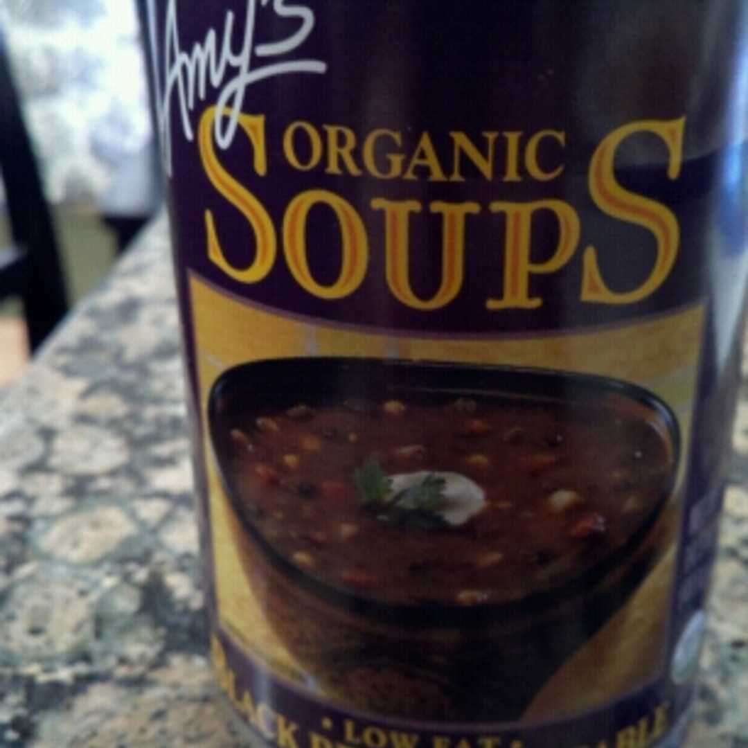 Amy's Organic Black Bean Vegetable Soup